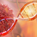 Dna Strand Cancer Cell Oncology